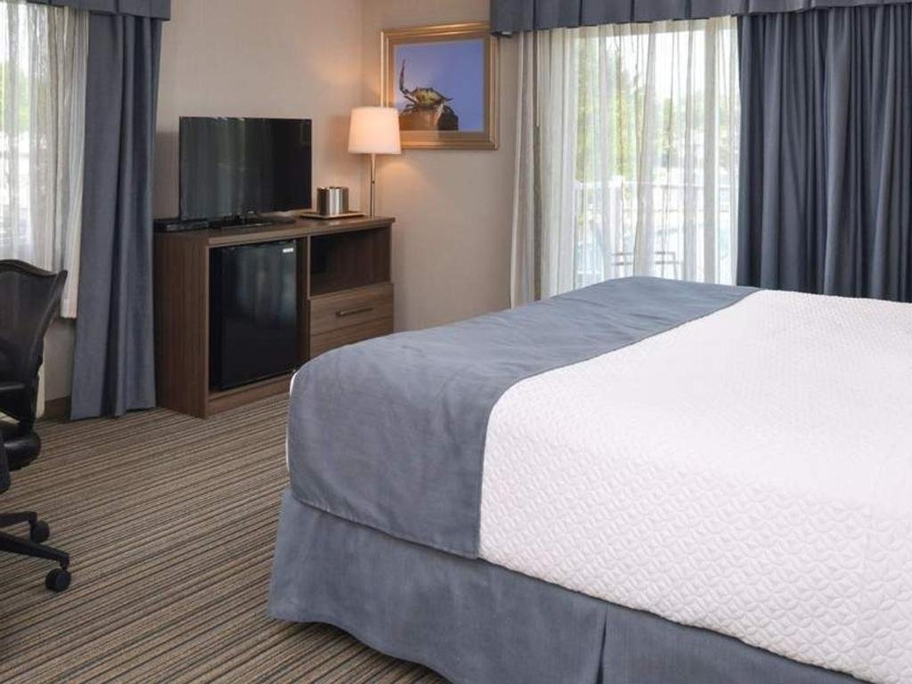 TV and Fridge next to a king bed
